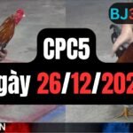 Đá gà thomo CPC5 | 26/12/2024